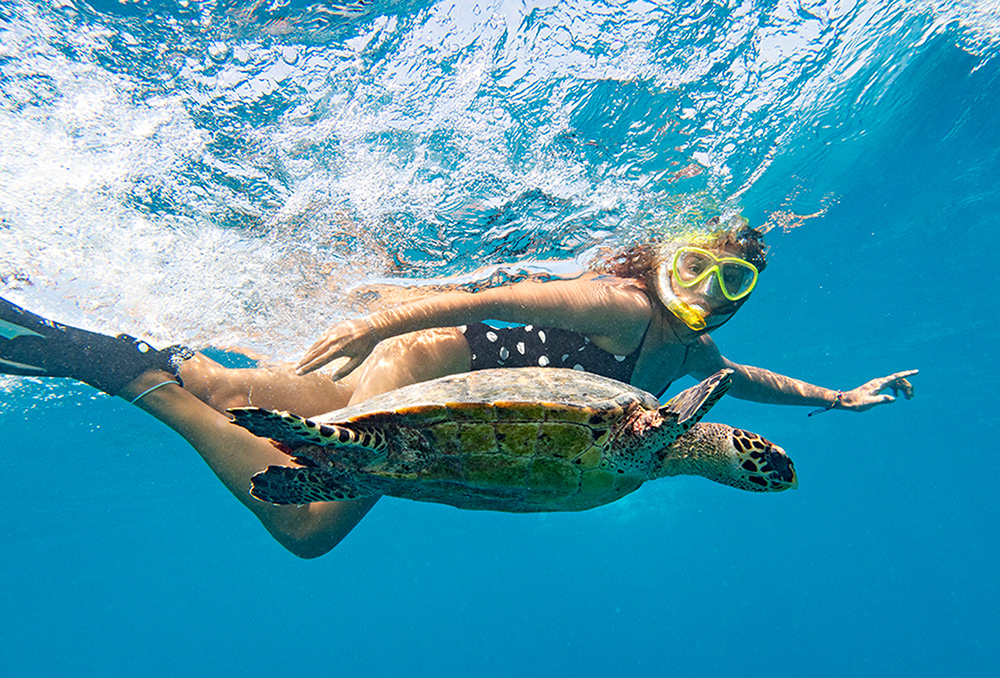 Youth swimming with sea turtle